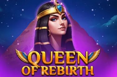 qq8826
