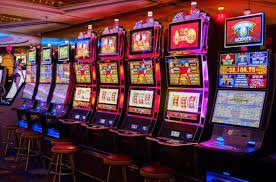 qq8826 Bingo